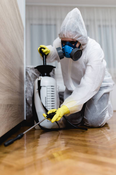 Best Fumigation Services  in Byron, CA